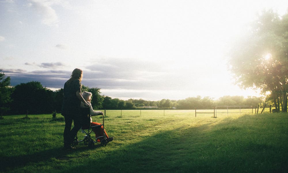 Woman in a wheelchair being pushed through a field